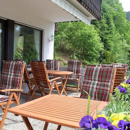 Schwarzwaldblick Hornberg