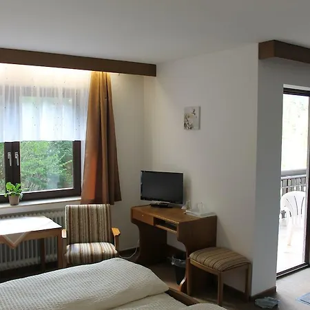 Schwarzwaldblick Хорнберг