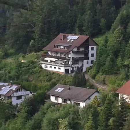 Schwarzwaldblick Хорнберг