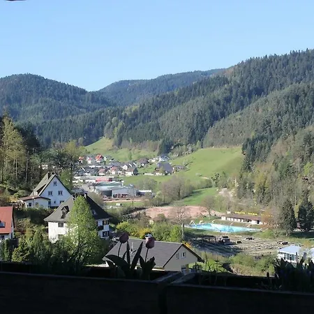 Schwarzwaldblick 2*