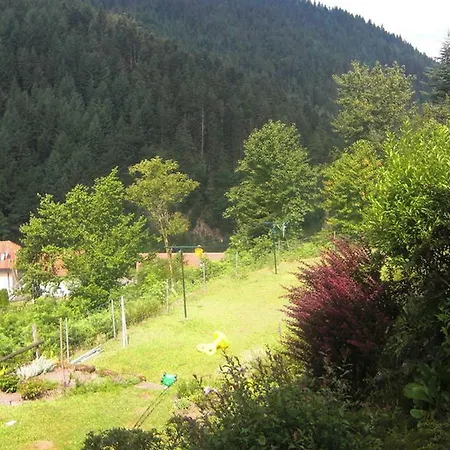 Guest house Schwarzwaldblick Hornberg