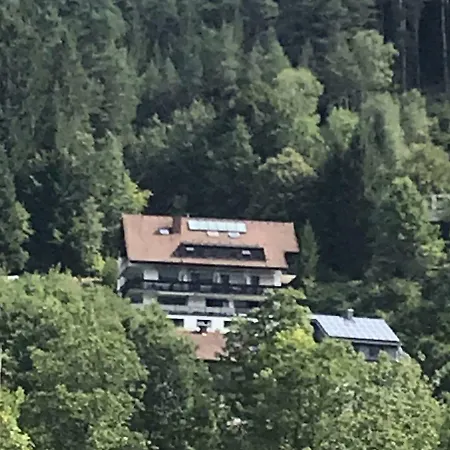 Schwarzwaldblick