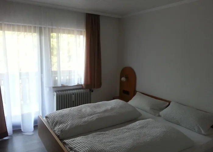 Konukevi Schwarzwaldblick Hornberg