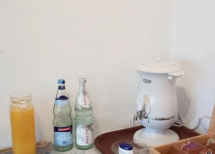 Konukevi Schwarzwaldblick Hornberg