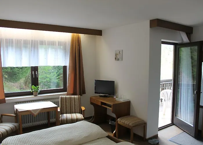 Schwarzwaldblick Hornberg