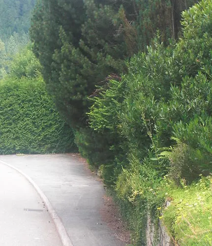 Schwarzwaldblick Konukevi Hornberg