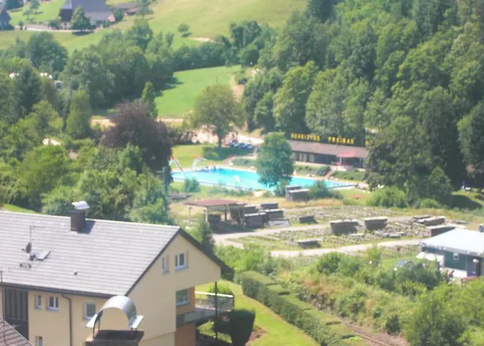 Schwarzwaldblick Hornberg