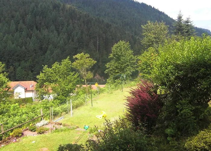 Schwarzwaldblick Hornberg