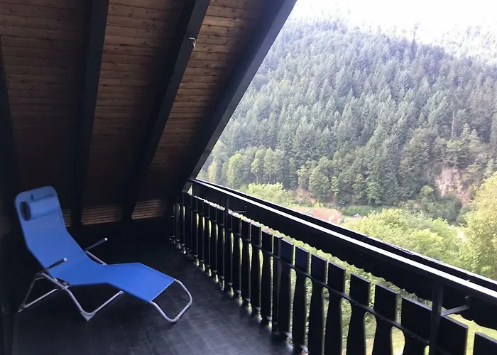 Schwarzwaldblick 게스트하우스 호른베르크