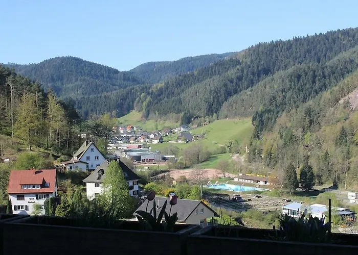 Schwarzwaldblick 2*