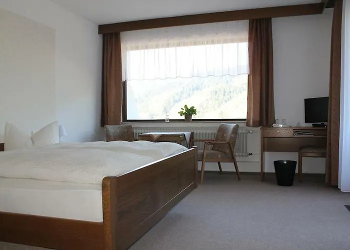 Schwarzwaldblick 2* Hornberg